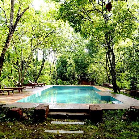 Mahagedara Wellness Retreat Hotell Avudangawa Exteriör bild