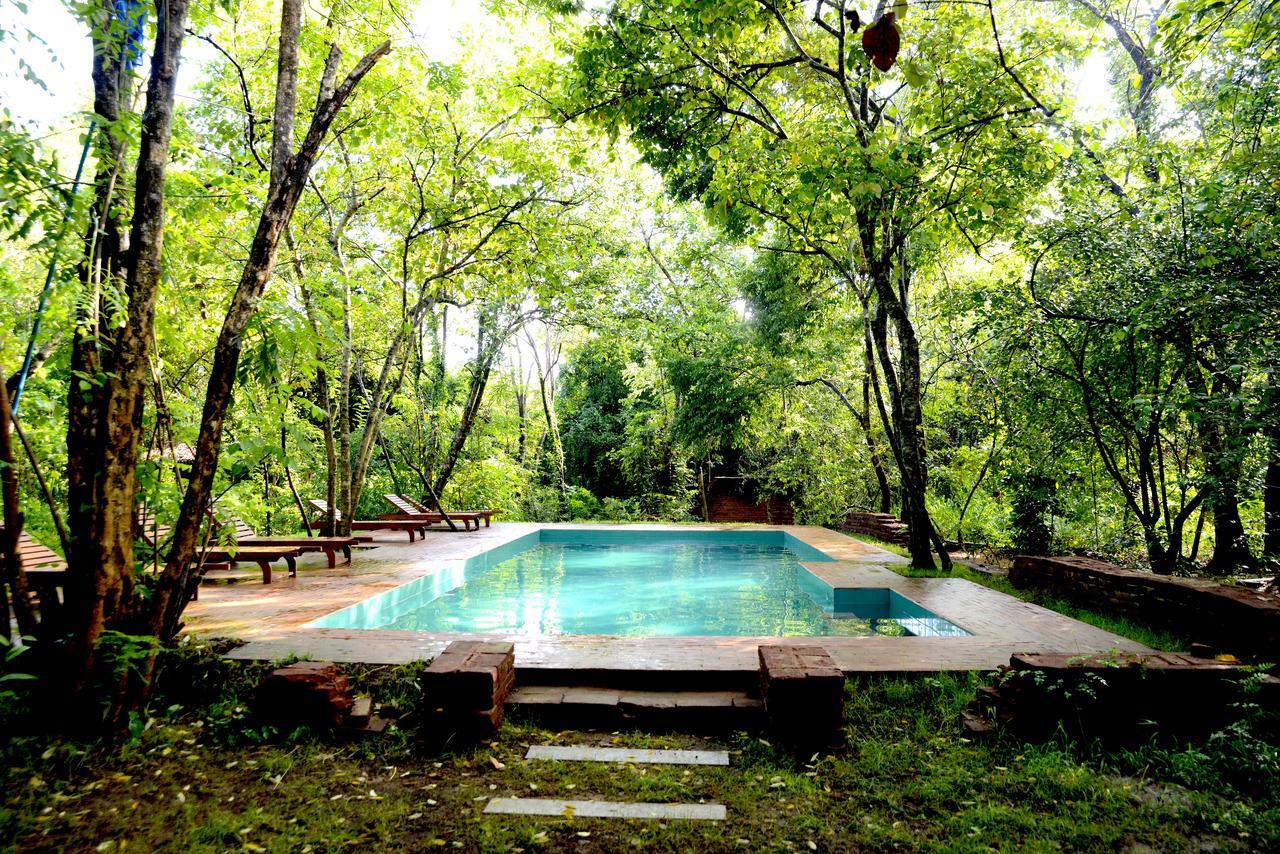 Mahagedara Wellness Retreat Hotell Avudangawa Exteriör bild