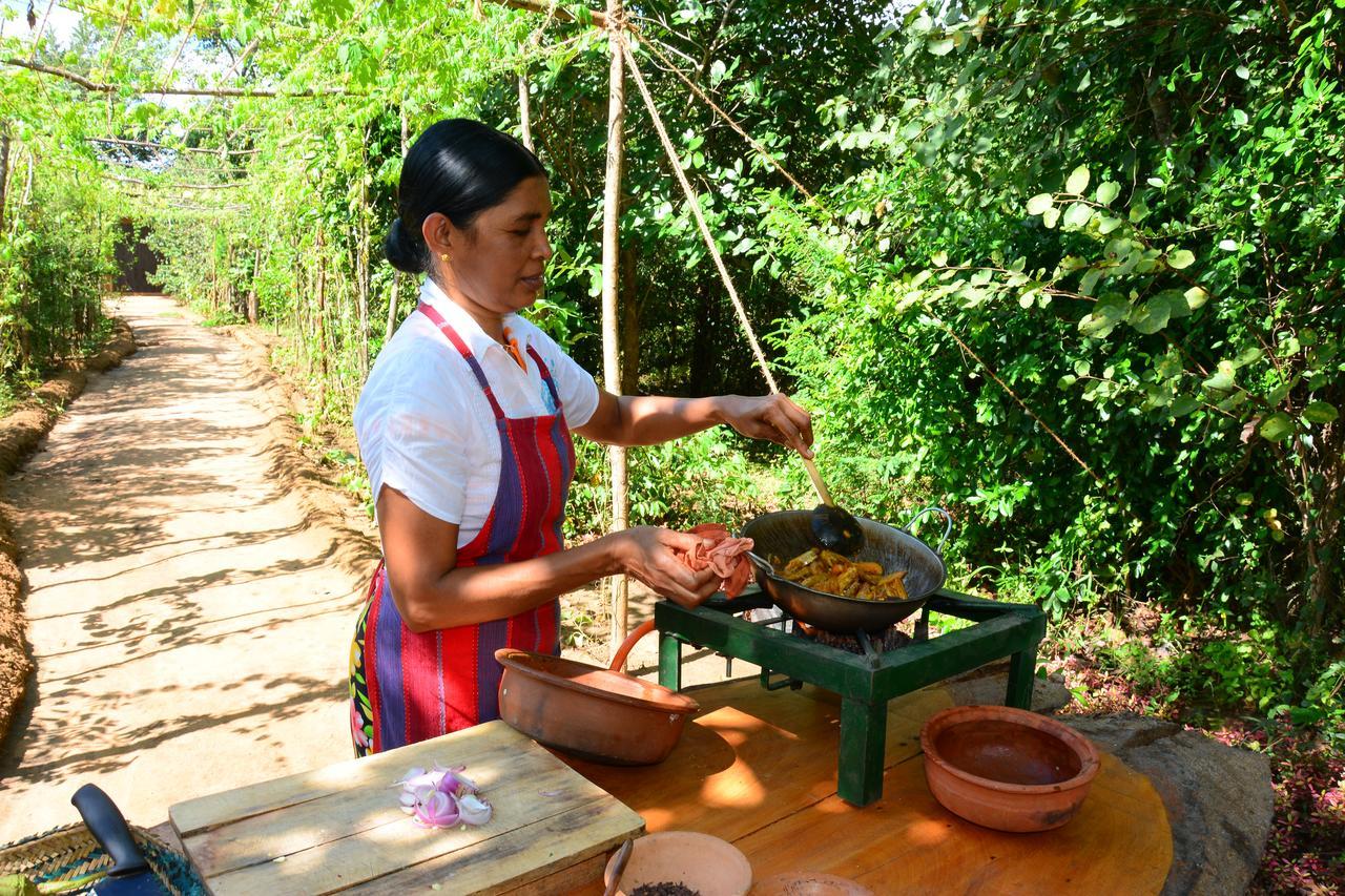 Mahagedara Wellness Retreat Hotell Avudangawa Exteriör bild