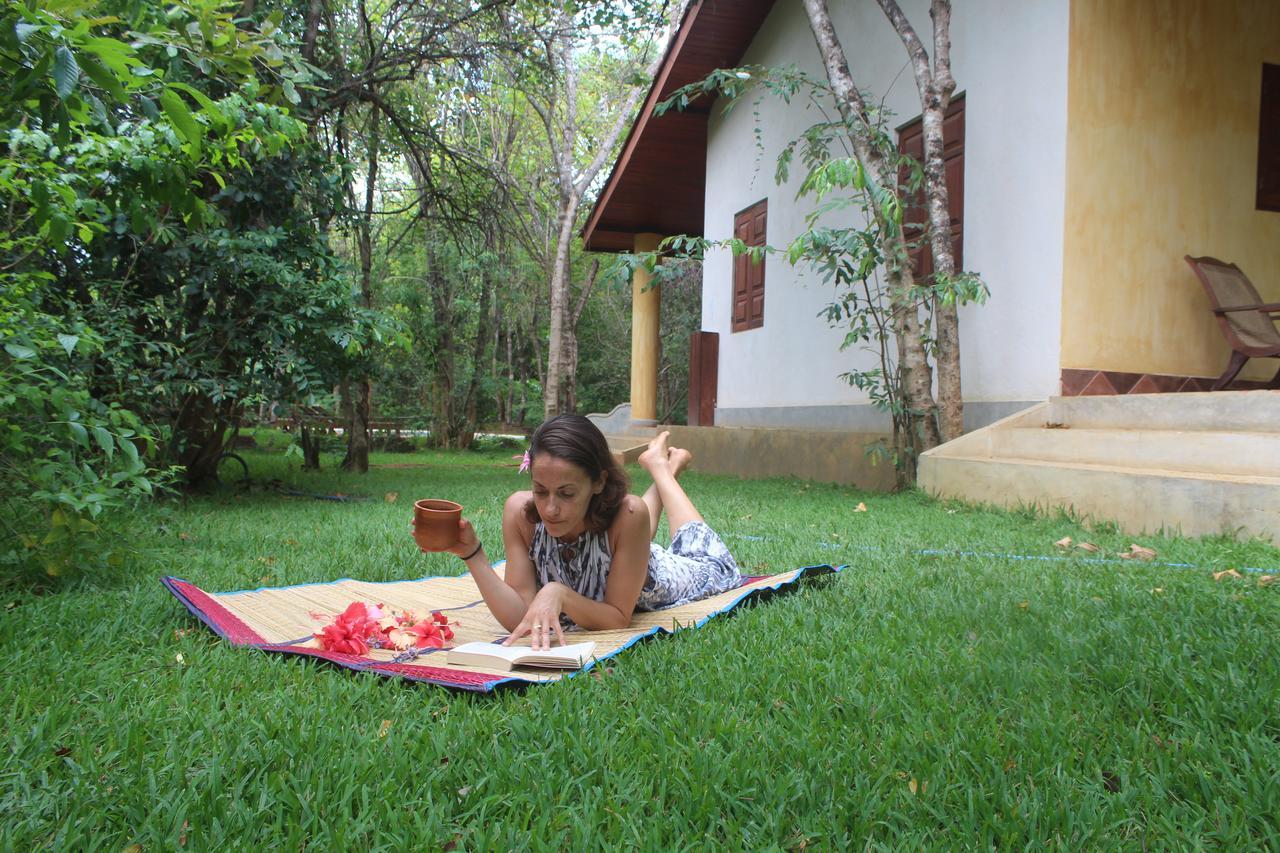 Mahagedara Wellness Retreat Hotell Avudangawa Exteriör bild