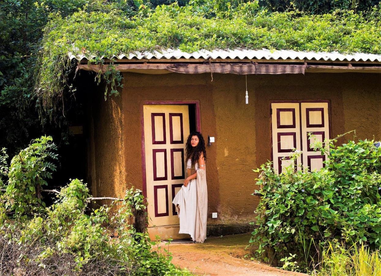 Mahagedara Wellness Retreat Hotell Avudangawa Exteriör bild
