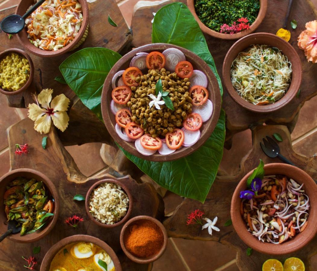 Mahagedara Wellness Retreat Hotell Avudangawa Exteriör bild