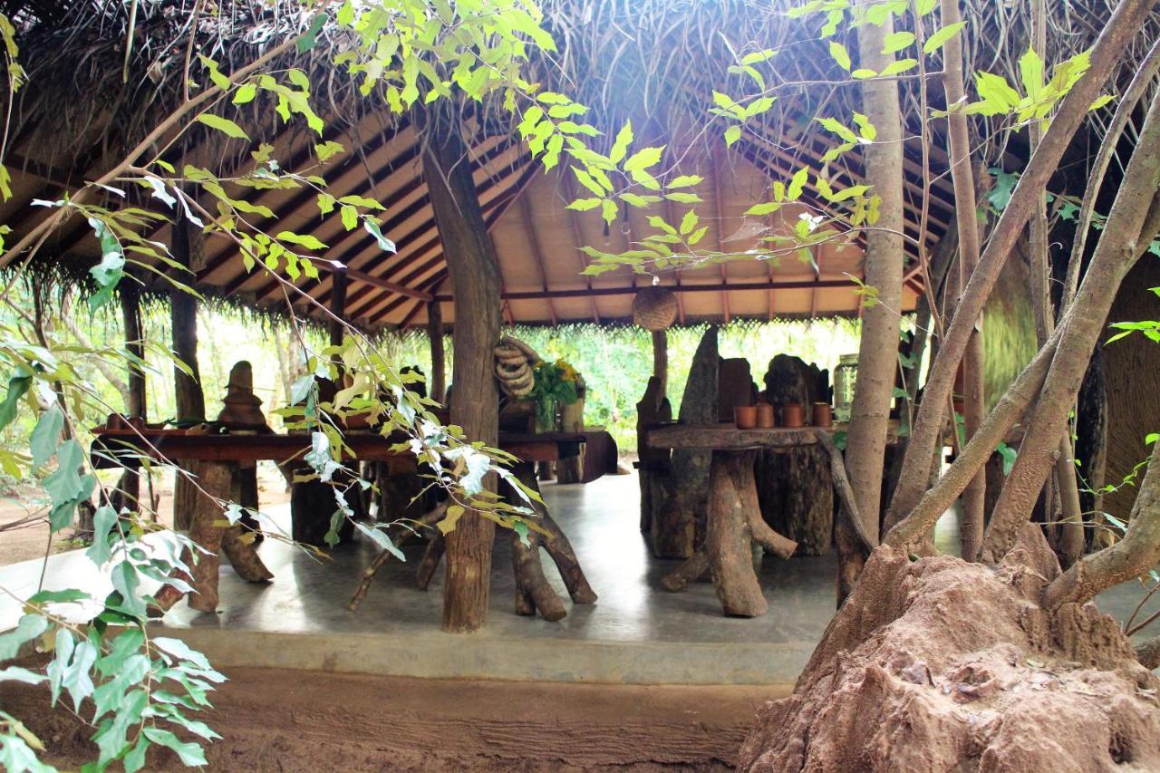 Mahagedara Wellness Retreat Hotell Avudangawa Exteriör bild