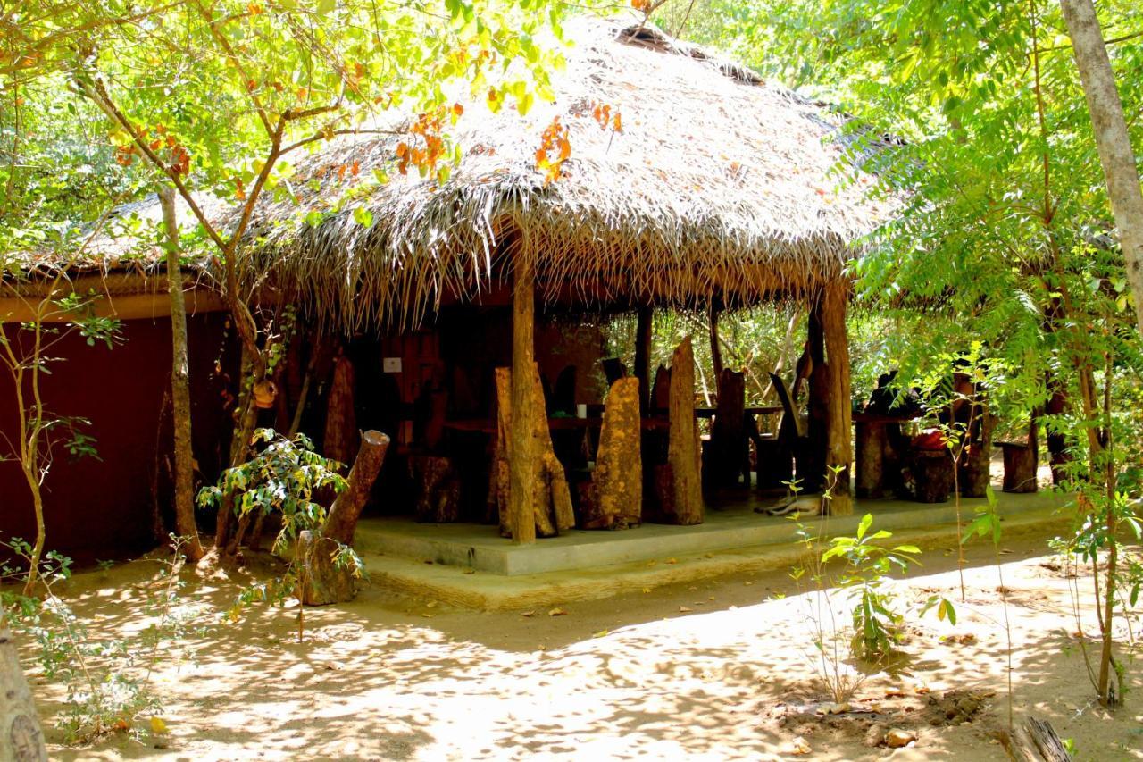 Mahagedara Wellness Retreat Hotell Avudangawa Exteriör bild