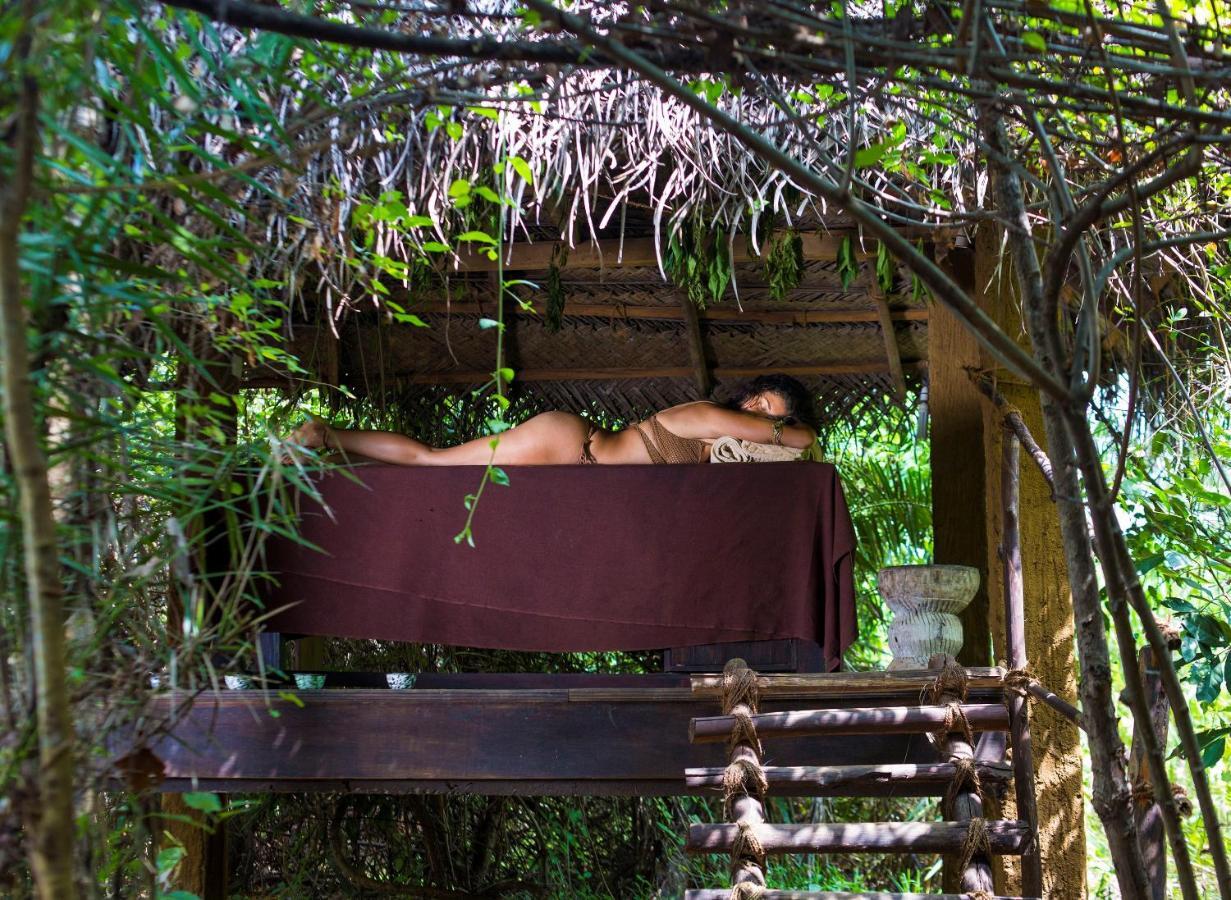 Mahagedara Wellness Retreat Hotell Avudangawa Exteriör bild